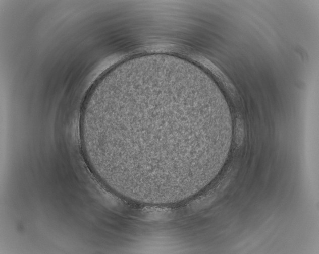 X0000111000886200907311028