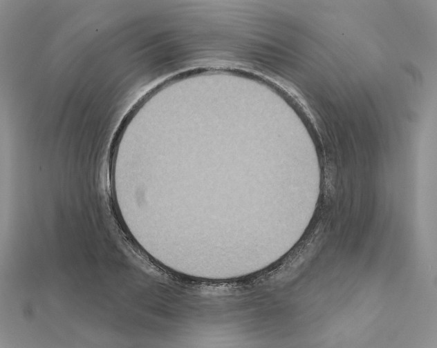 X0000111000887200907311028