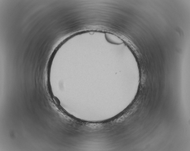 X0000111000888200907311028