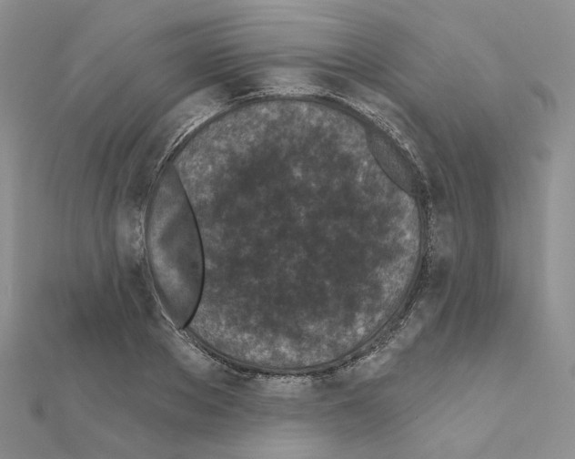 X0000111000889200907311028