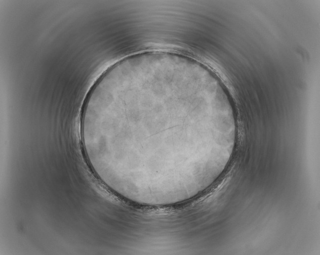 X0000111000891200907311028