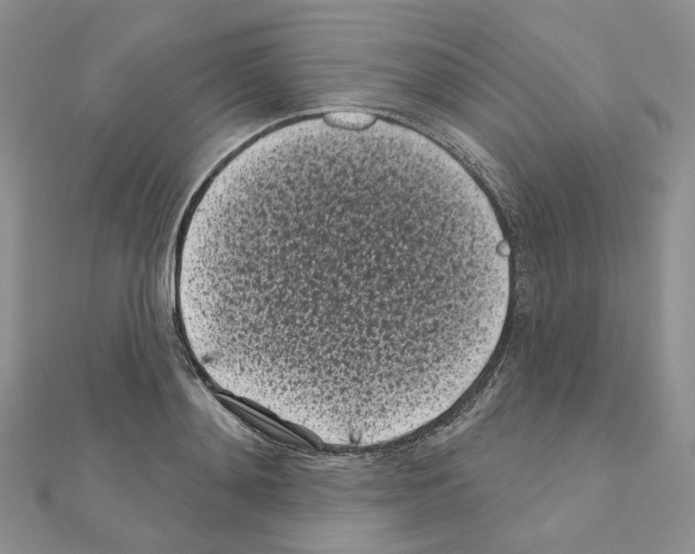 X0000111000892200907311028