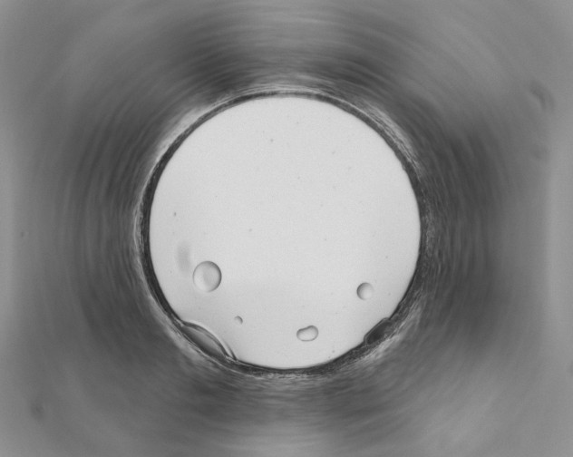 X0000111000893200907311028