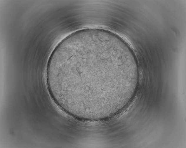 X0000111000895200907311028