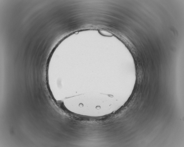 X0000111000896200907311028