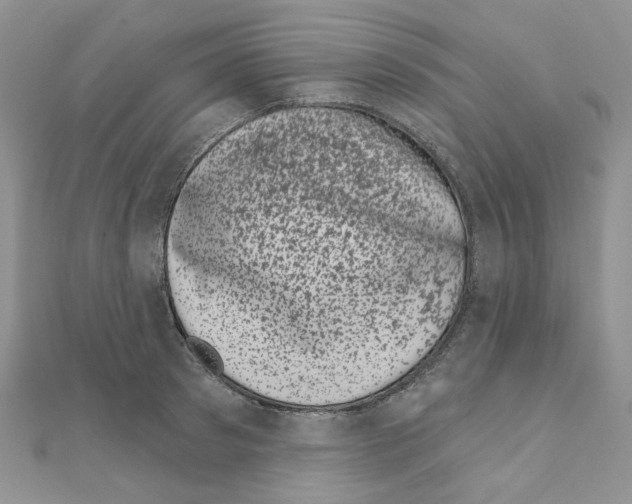 X0000111000897200907311028