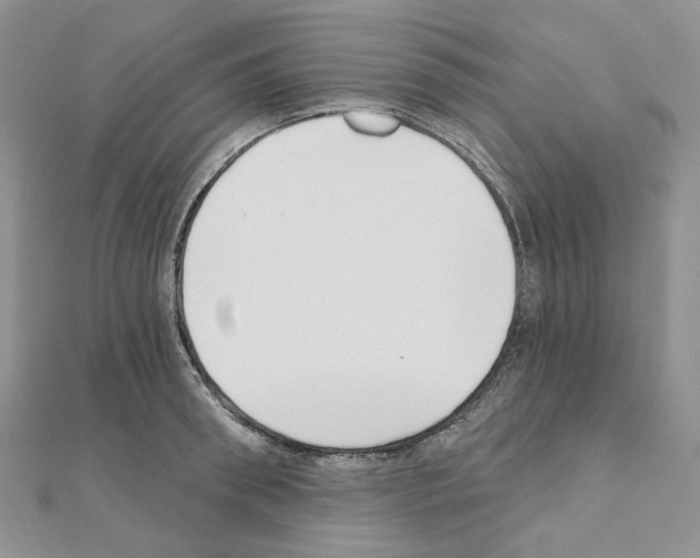 X0000111000898200907311028