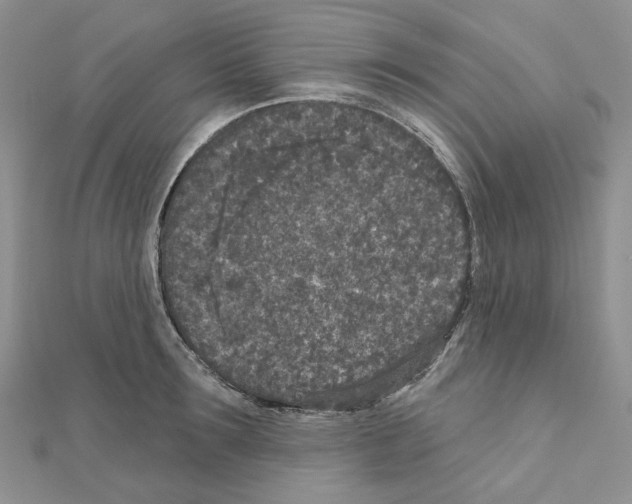 X0000111000899200907311028