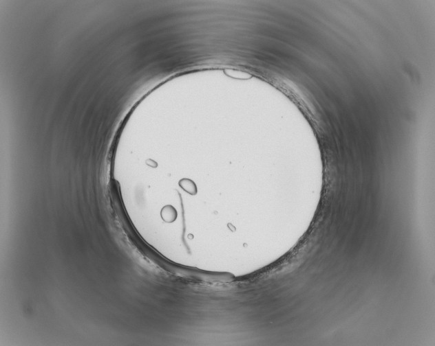 X0000111000900200907311028