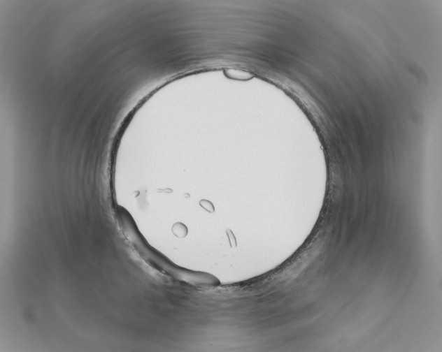 X0000111000902200907311028