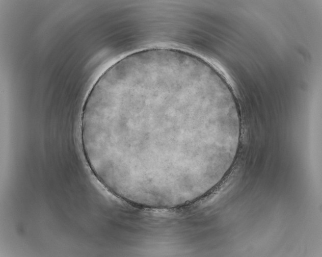 X0000111000903200907311028