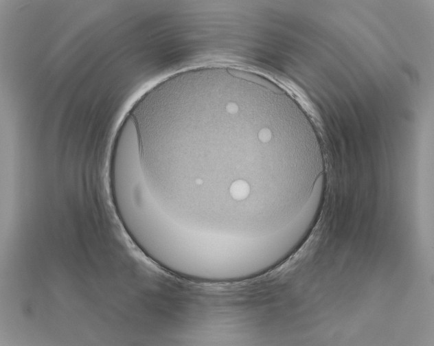 X0000111000904200907311028