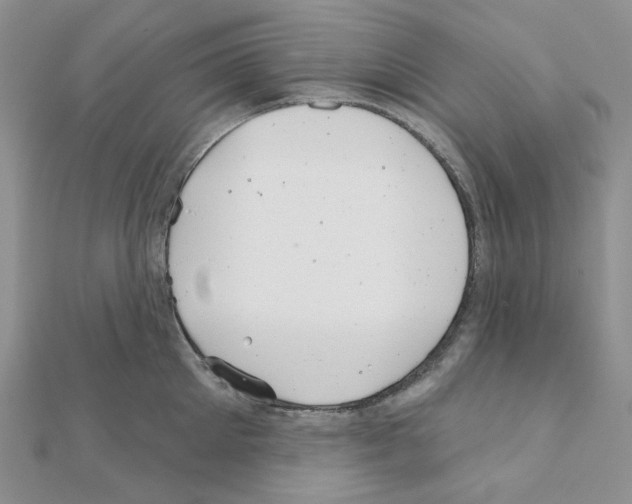 X0000111000905200907311028