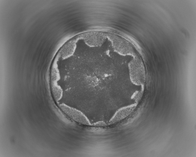 X0000111000907200907311028