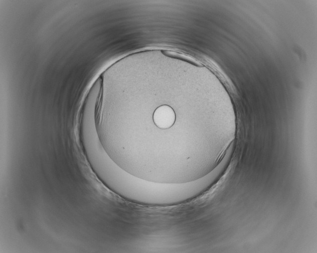 X0000111000908200907311028