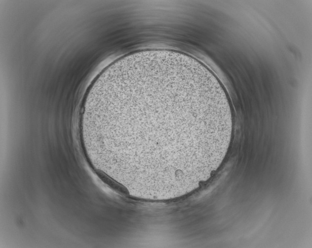 X0000111000909200907311028