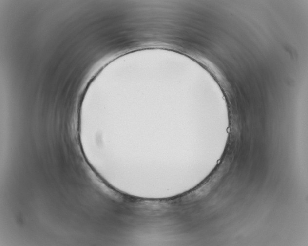 X0000111000910200907311028