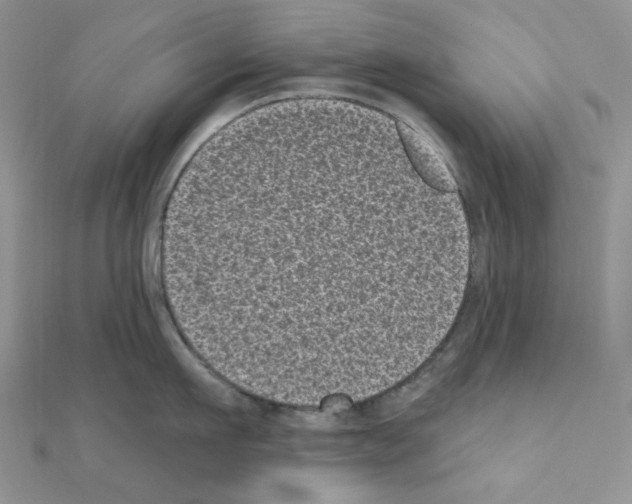 X0000111000911200907311028