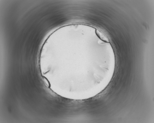 X0000111000912200907311028