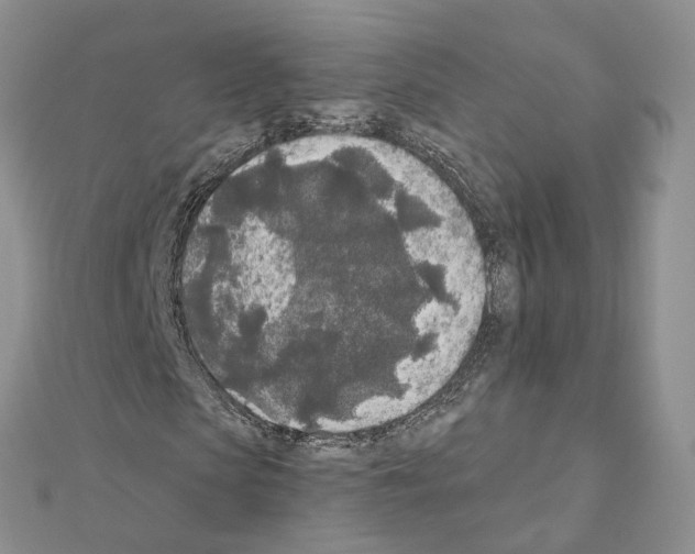 X0000111000913200907311027