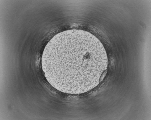 X0000111000914200907311027