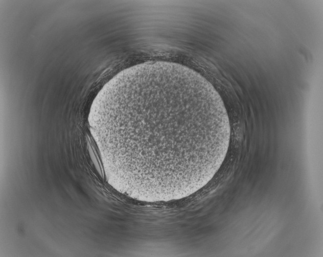 X0000111000916200907311028