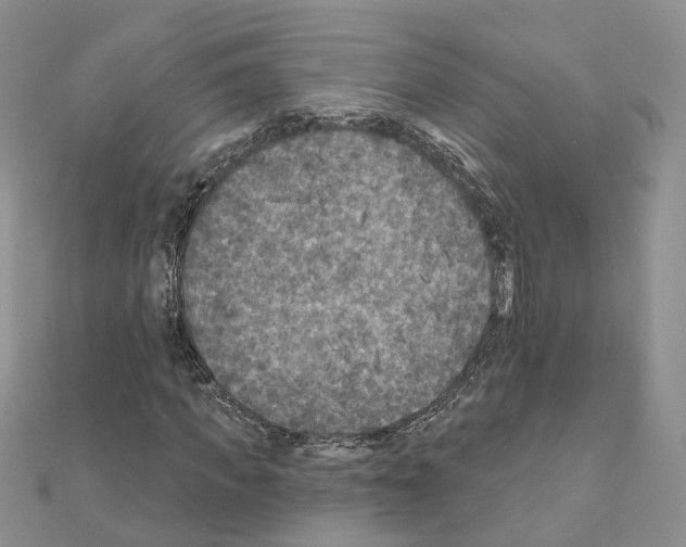 X0000111000917200907311028