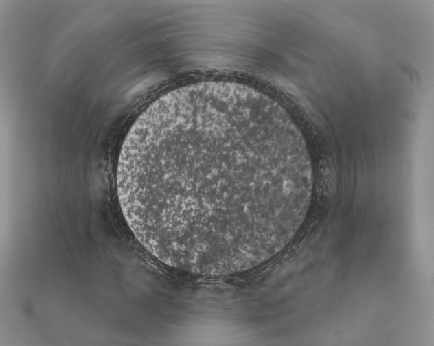 X0000111000918200907311028