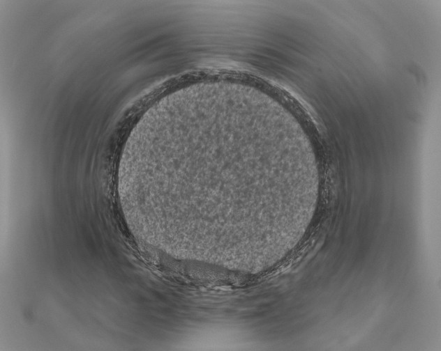 X0000111000919200907311028