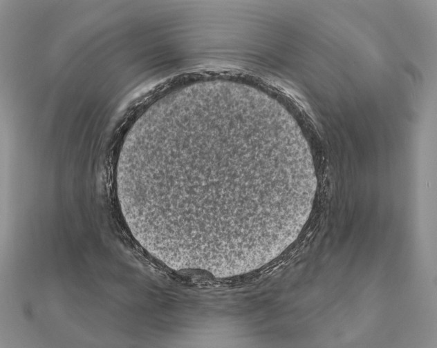 X0000111000920200907311028