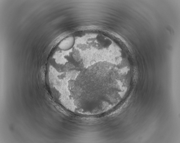 X0000111000921200907311028