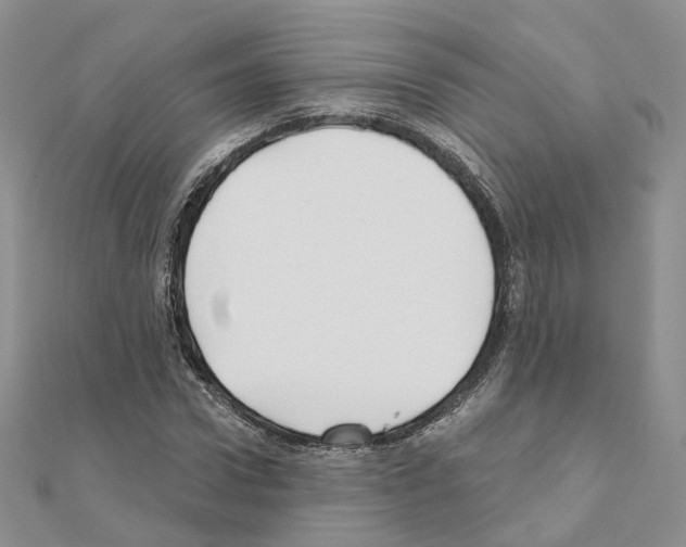 X0000111000922200907311028