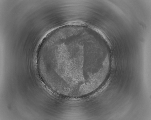 X0000111000923200907311028