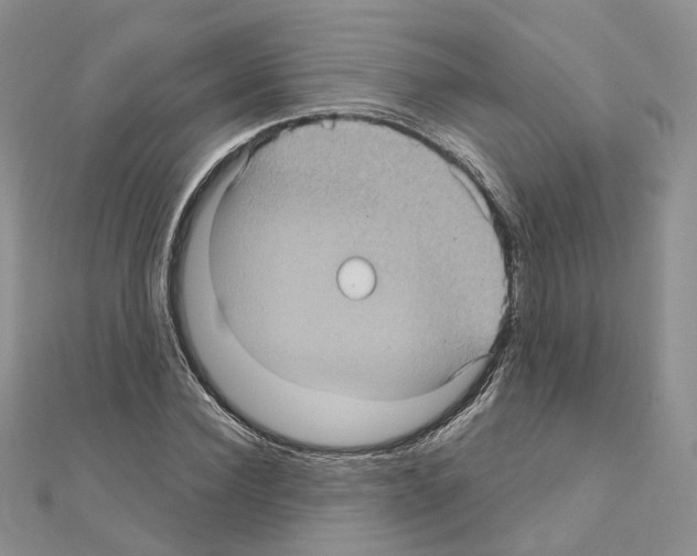 X0000111000924200907311028