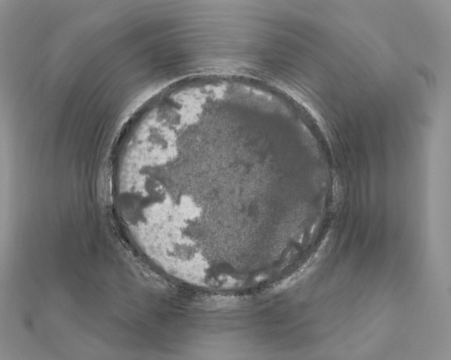 X0000111000925200907311028