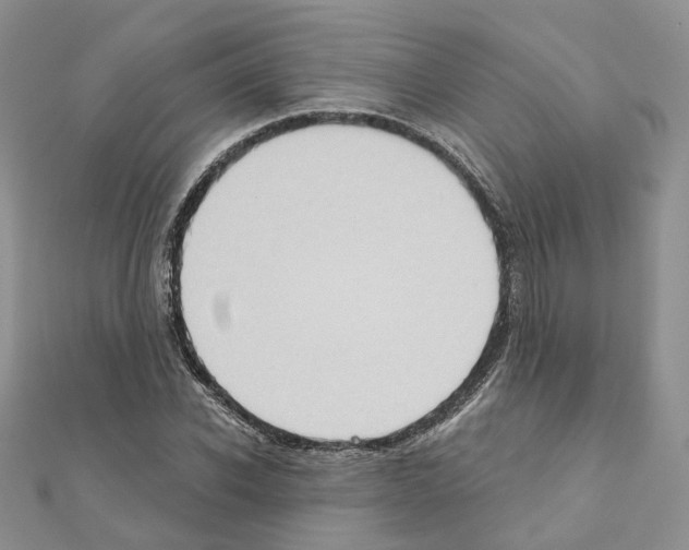 X0000111000926200907311028