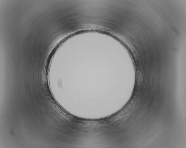 X0000111000927200907311028