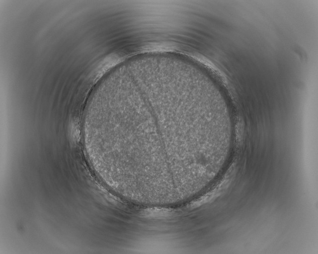 X0000111000929200907311028