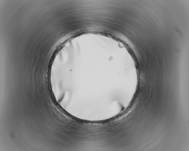 X0000111000930200907311028