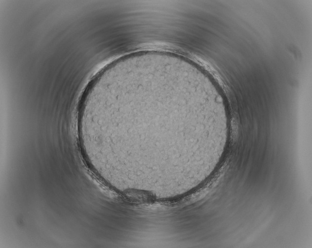 X0000111000931200907311028