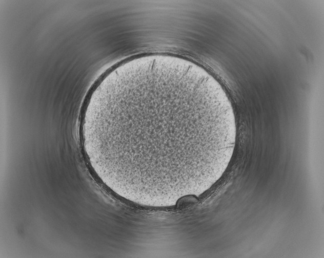 X0000111000932200907311028