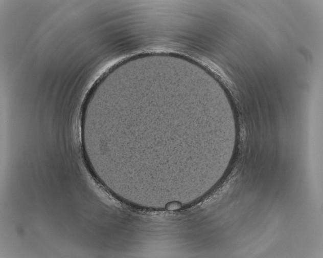 X0000111000934200907311028