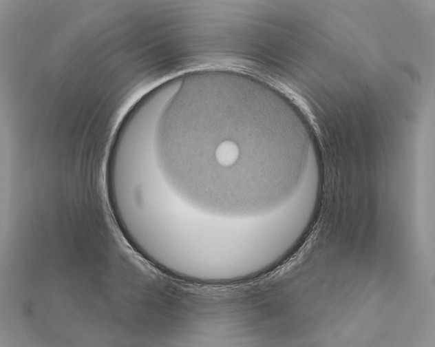 X0000111000936200907311028