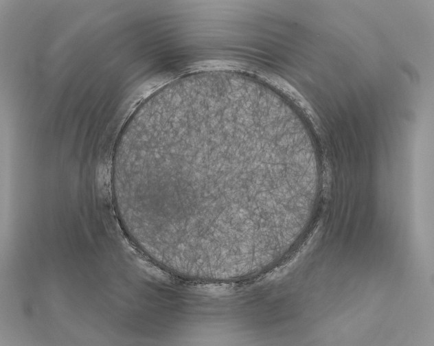 X0000111000937200907311028