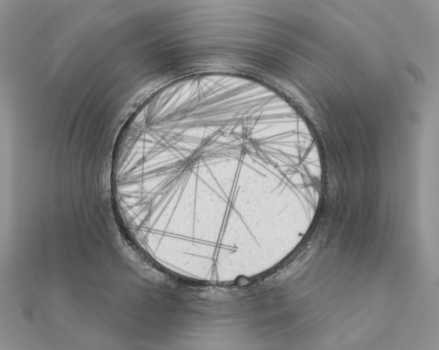 X0000111000938200907311028