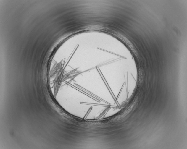 X0000111000939200907311028