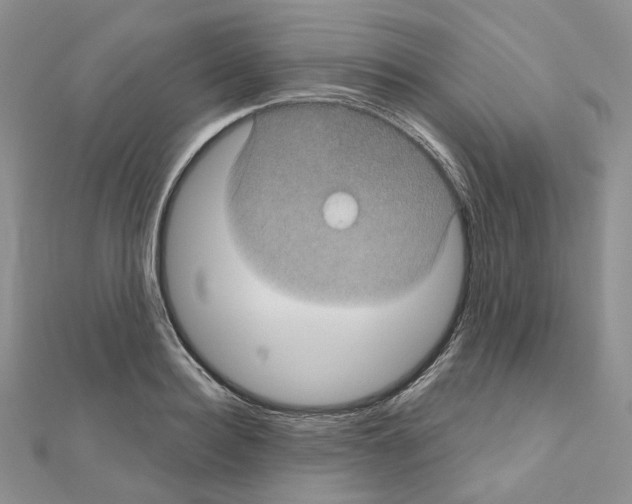 X0000111000940200907311028