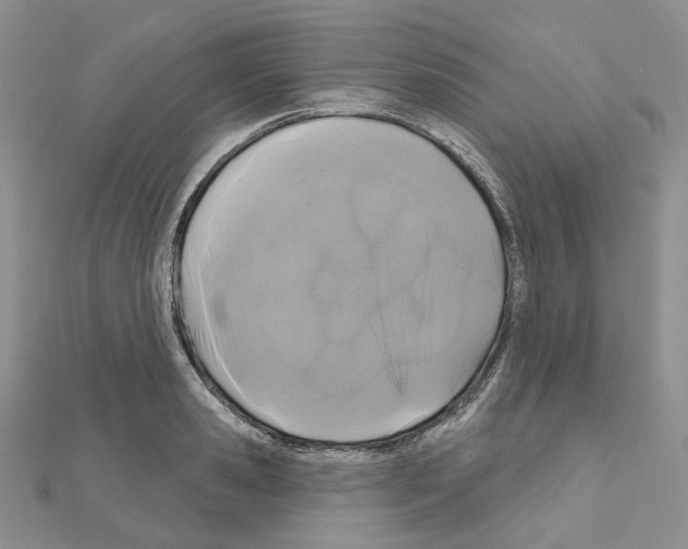 X0000111000941200907311028