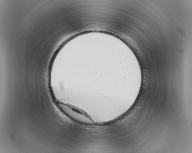 X0000111000942200907311028