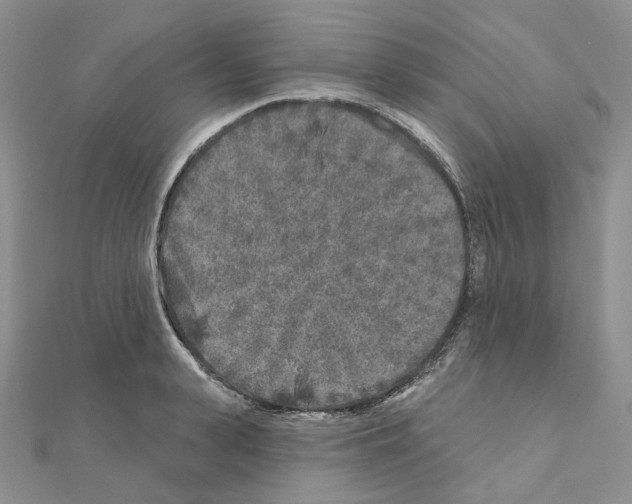 X0000111000943200907311028